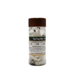 Tip Top Bio-Control Cryptolaemus Montrouzieri Beneficial Insects