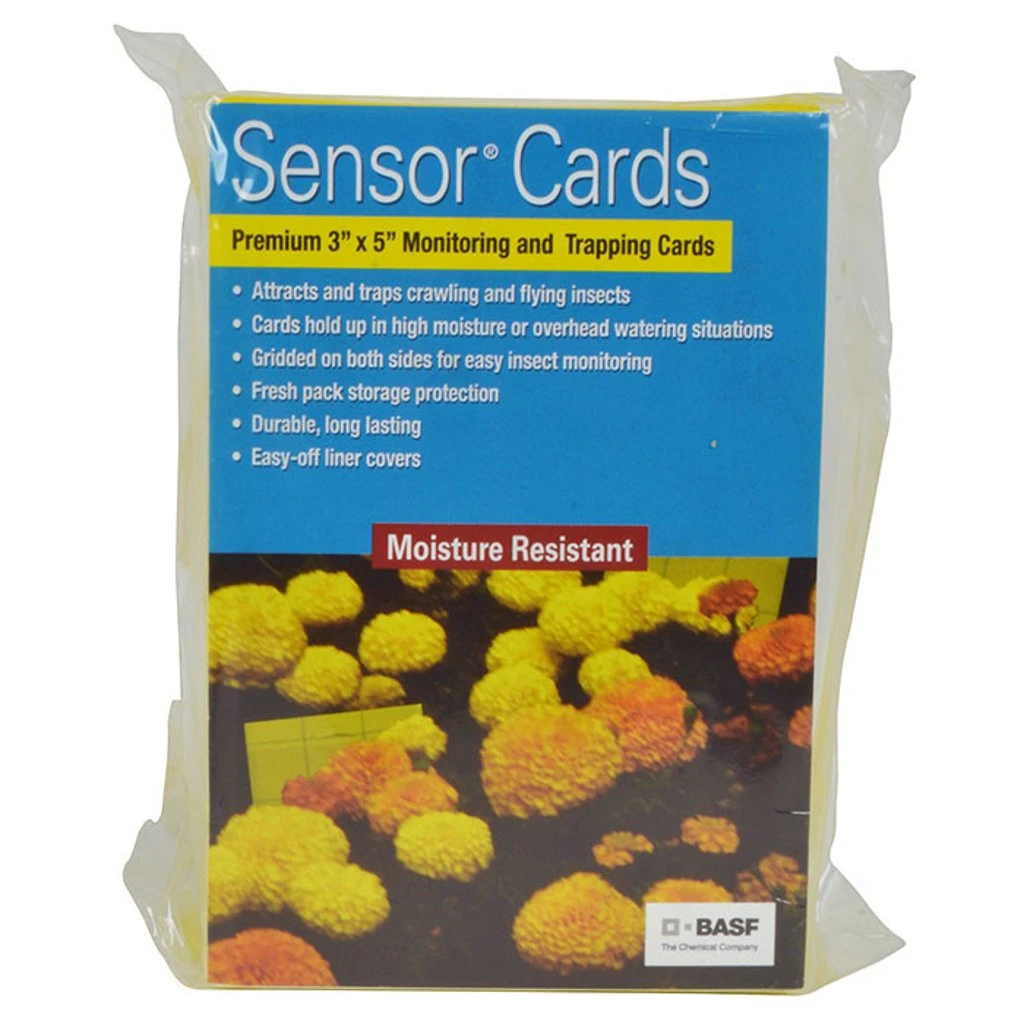 BASF Sensor Cards Yellow Monitoring And Trapping Cards - Pack Of 50 3 BASF Sensor Cards Yellow Monitoring And Trapping Cards - Pack Of 50
