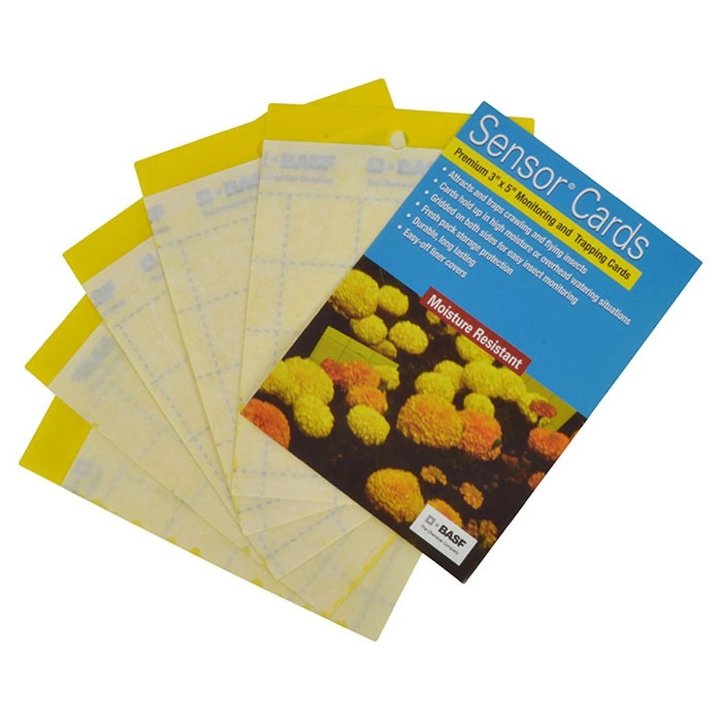BASF Sensor Cards Yellow Monitoring And Trapping Cards - Pack Of 50 4 BASF Sensor Cards Yellow Monitoring And Trapping Cards - Pack Of 50 - Image 2