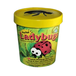 Tip Top Bio-Control Pre-Fed Ladybugs