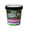 Tip Top Bio-Control Green Lacewing Eggs -Garden Care Product Store lwe 1krc 1 1