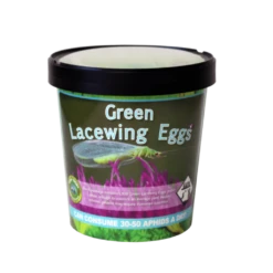 Tip Top Bio-Control Green Lacewing Eggs