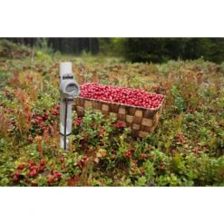 HOBO TidbiT MX External Temperature Data Logger -Garden Care Product Store mx2205 3