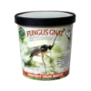 Tip Top Bio-Control Fungus Gnat & Root Knot Exterminator - S. Feltiae Beneficial Nematodes -Garden Care Product Store nfun1c 1 1