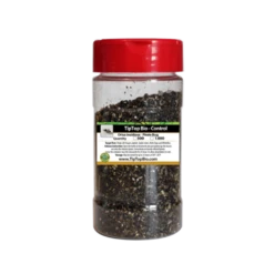 Tip Top Bio-Control Orius Insidiosis - Pirate Bug Beneficial Insects