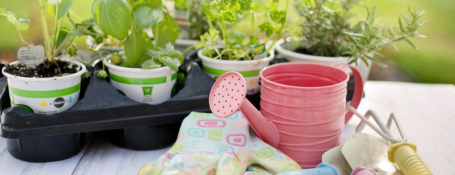 Garden Care Product Store -Garden Care Product Store planting 4226838 1920