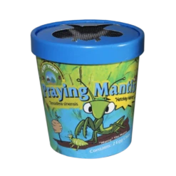 Tip Top Bio-Control Praying Mantis Eggs