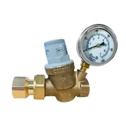 Dosatron Pressure Regulator With Gauge - 3/4"