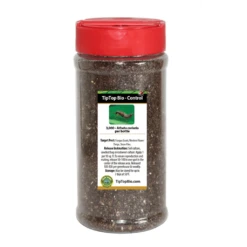 Tip Top Bio-Control Rove Beetle - Dalotia (Atheta) Coriaria Beneficial Insects