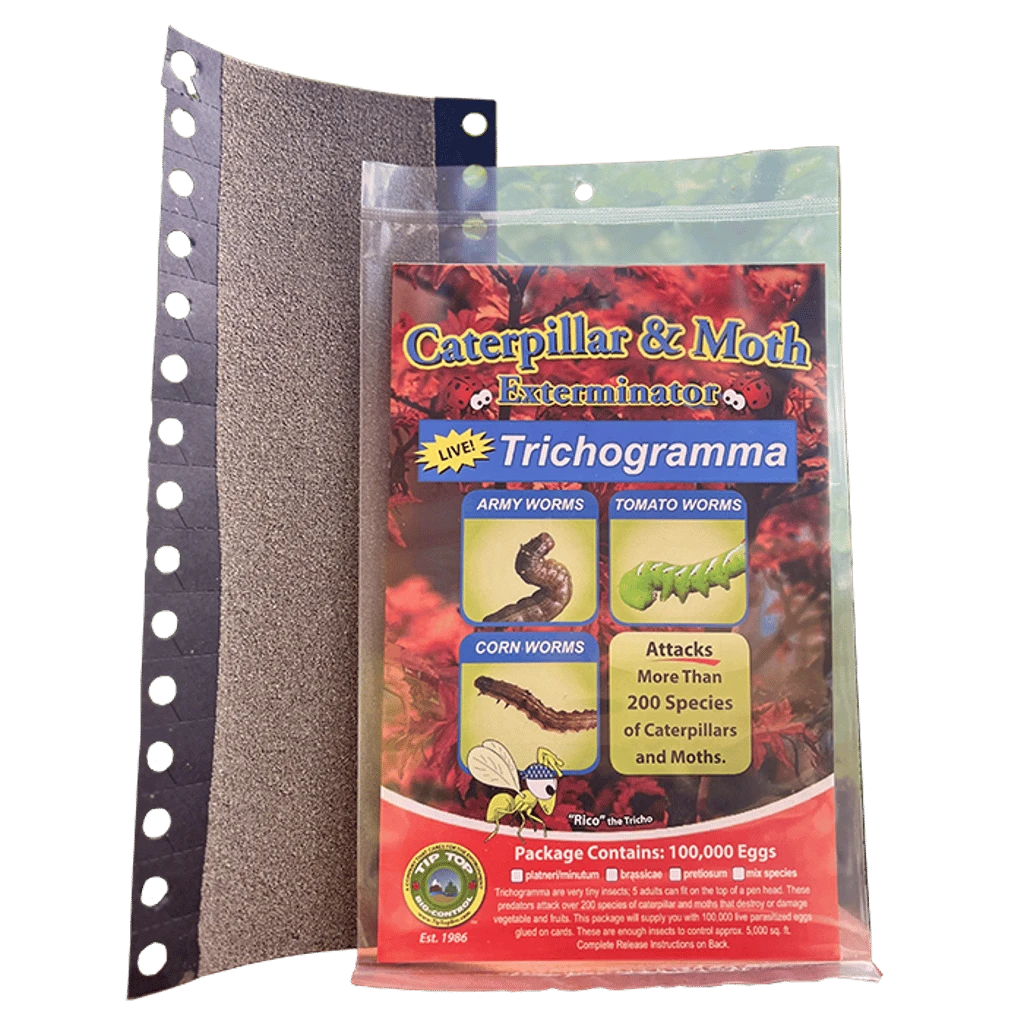 Tip Top Bio-Control Trichogramma Brassicae For Caterpillar & Moth Control, Hanging Card Of 100,000 3 Tip Top Bio-Control Trichogramma Brassicae For Caterpillar & Moth Control, Hanging Card Of 100,000