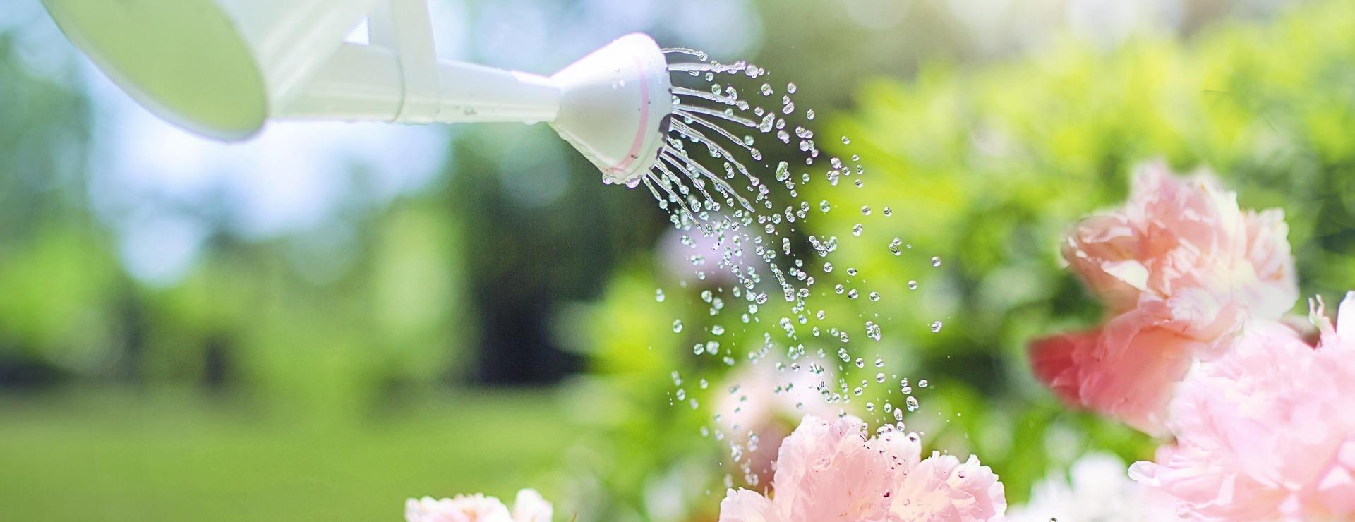 Garden Care Product Store -Garden Care Product Store watering 2389940 1920